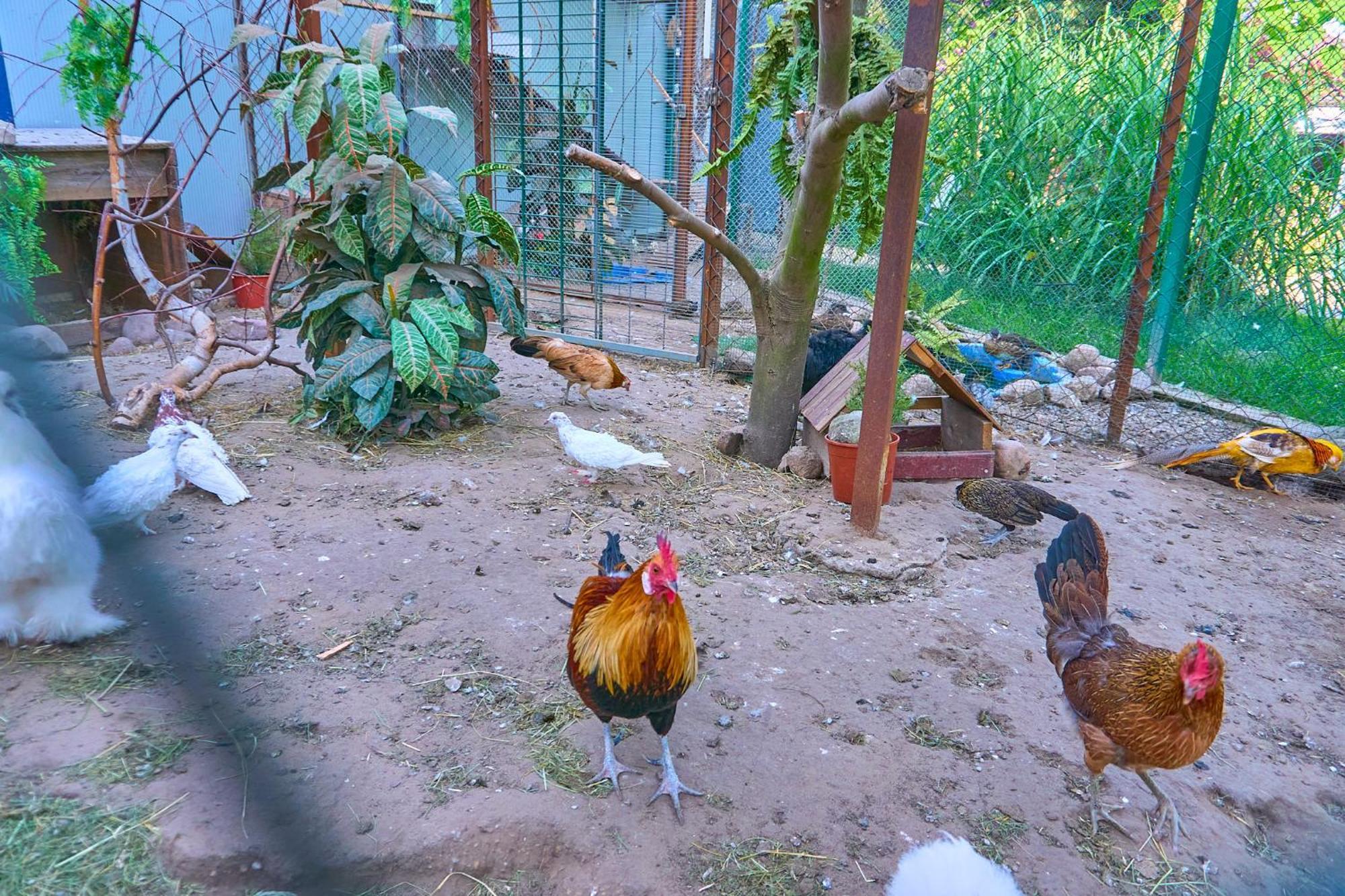 مبيت وإفطار Władysławowo Ow Sargus المظهر الخارجي الصورة